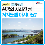 궁금타파! 한강의 사라진 섬 저자도를 아시나요?