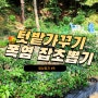 [일상일지] 이걸 어떻게 꾸려야 하지? | 폭염에 텃밭 잡초 뽑기