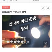 공공예약 효창공원 야간 곤충 탐사