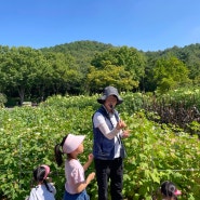 대구수목원 주말가족 숲나들이 체험후기