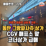 ㅣ급매물ㅣ동탄 호수공원 그랑파사쥬 CGV 매표소 앞 코너호실 상가 매매