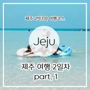 [제주 2박3일 여행] 2일차 part 1. 제주김만복김밥 본점 - 런던베이글뮤지엄 제주점 - 코난해변 -매우릉 쭈꾸미 조천점