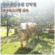 경북 상주 가볼만한곳 상주곶감공원 감락원