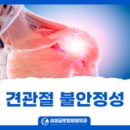 대구어깨통증 견관절 불안정성의 원인과 운동치료 알기