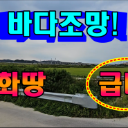 바다조망 강화땅급매 시세대비 평당20만원정도 싸게나온 급매물