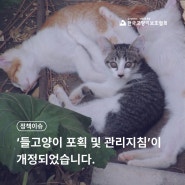 들고양이 포획 및 관리지침’이 ‘들고양이 관리지침’으로 개정되었습니다.