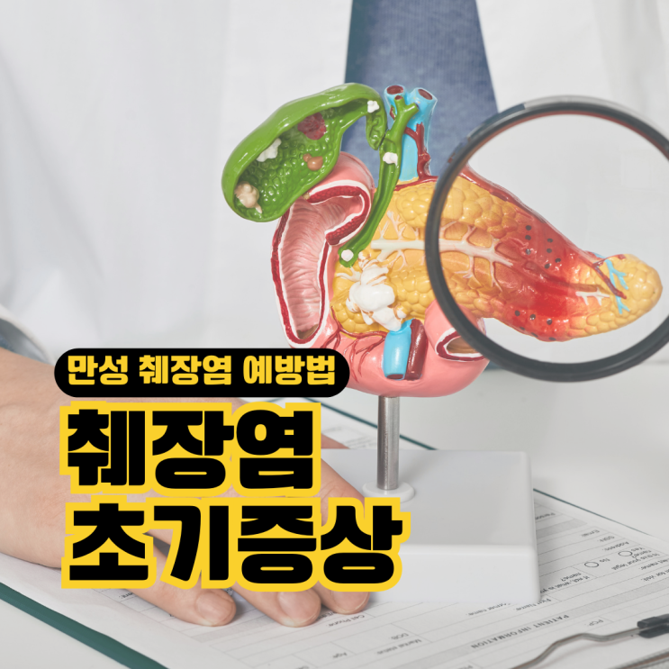 췌장염 초기증상 및 원인, 급성 만성 췌장염 예방법 : 네이버 블로그