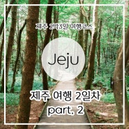 [제주 2박3일 여행] 2일차 part 2. 붉은오름 사려니숲길 - 앨리스 - 동문시장