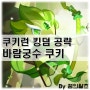 쿠키런 킹덤 바람궁수 쿠키 토핑 쿠킹덤 비스킷 공략