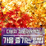 수확의 계절, 가을을 즐기는 방법은?