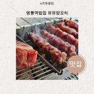 가을 영통역밥집 유유양꼬치