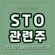 STO 관련주 토큰증권 대장주식