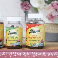 올영세일비타민 맛있게 먹는 얼라이브 비타민 구미 추천