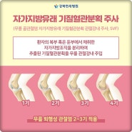 자가지방줄기세포 주사치료 이제 퇴행성관절염에도