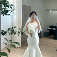 웨딩드레스를 찾았습니다👰🏻 - 아르하 피팅