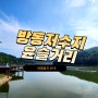 [여행일지] 방동저수지 윤슬거리 | 대전 가볼만한 곳 야간 분수쇼와 예쁜 카페가 있는 곳