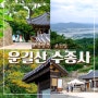 경기도 남양주 운길산 수종사 드라이브 가볼만한곳