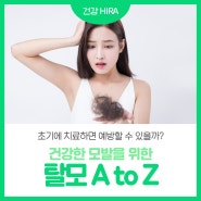 초기에 치료하면 예방할 수 있을까요? 건강한 모발을 위한 탈모 A to Z