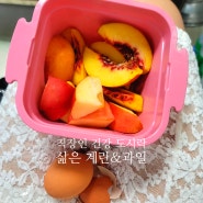 직장인 점심 도시락 - 삶은 계란&과일🍑🍎