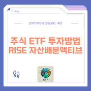 미국 주식 ETF 투자방법 추천 RISE 자산배분액티브