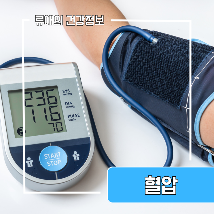 혈압정상수치 성인기준 저혈압 고혈압 : 혈압낮추는법 : 네이버 블로그