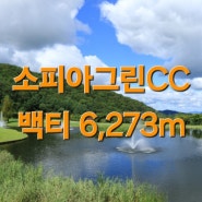 (스크린골프)소피아그린CC