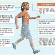 나이 들어 제일 좋은 운동은 '걷기'… 어디에 좋을까?