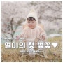 #24.04.01~07 일상 ; 벚꽃따라 다니는 우리✿/ 시공매트로 체인지♩, 열일하는 모델 이설, 가드싫어!!!, 양갈래 설♥, 벚꽃 아빠스냅, 경기도청 벚꽃축제 - 탁티쉐