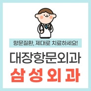 대전치질의 모든 것