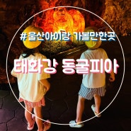 울산 아이랑 가볼만한곳 태화강 동굴피아 주차팁