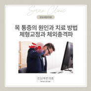 일자목 목디스크 등 목 통증의 원인과 치료 방법(체형교정과 체외충격파)