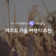 은빛 가을 즐기러 제주로 떠나자! | 제주도 가을 여행지 추천