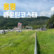 용평리조트 액티비티 원탑 추천 마운틴코스터 솔직 후기 및 가격