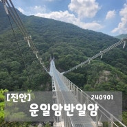 [진안] 운일암반일암 계곡.. 애견동반 산책 240901