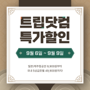 트립닷컴 항공권특가 메가세일 9월노선 5성급호텔할인 제주여행특가 9,900원