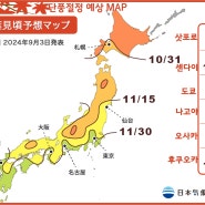 [2024년 일본 단풍예상]2024년 제 1회 일본 단풍예상 발표(9/3)