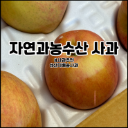 사과추천 자연과농수산 산지직송 사과배송