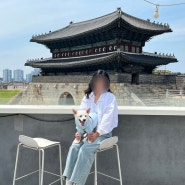 수원 장안문 뷰 반려견 동반 카페_팔레센트