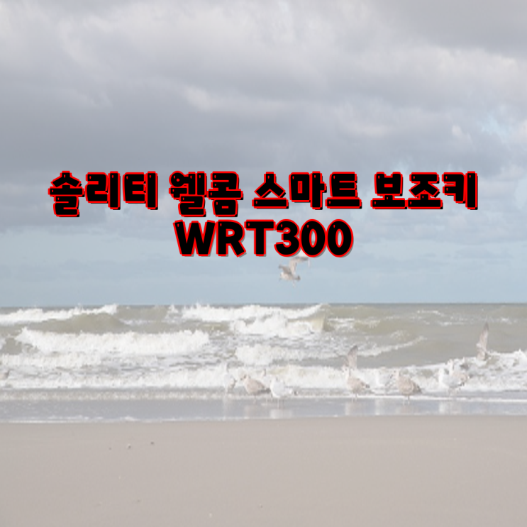 솔리티 웰콤 스마트 보조키 WRT300과 WRB-300 디지털도어락 방문설치 가이드 | 디지털 도어락, 안전 시스템, 고객 직접 ...