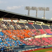 [직관기록⚾️] 야구..좋아하세요? ① 240808 LG트윈스vs두산베어스 @잠실야구장