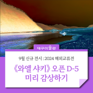 아이와 가볼만한 실내 나들이 : 미리 만나보는 9월 신규 전시 2024 해외교류전 《와엘 샤키》展