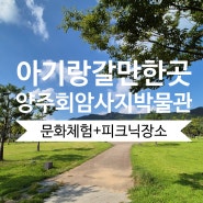 양주 아기랑 갈만한곳 양주시립회암사지박물관 방문후기