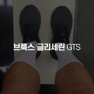 남자러닝화 브룩스 글리세린 gts 한달후기