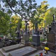 48. 비셰흐라드 묘지 (Vysehrad Cemetery)와 바실리카 유물