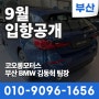 [부산BMW딜러] BMW 9월 입항정보 입항표 정규입항물량! 코오롱모터스 김동혁 팀장