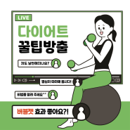 다이어트 포기하지마! 지방세포 분해 버블젯으로 해결