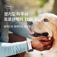 경기 파주시 프로산책러 TOP3