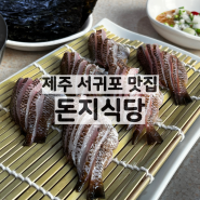 제주 서귀포시, 모슬포항 근처 자리회 코스 맛집 횟집 / 돈지식당