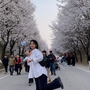 여주흥천남한강벚꽃축제, 홍천 아니고 '흥'천. 흥이 많다 할때 그 흥천