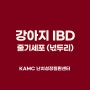 (연재 51편) 강아지 IBD와 줄기세포 / 넋두리